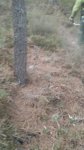 IMG-20171016-WA0033.jpg