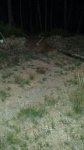 IMG-20171016-WA0038.jpg