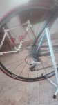 IMG_20171018_144318.jpg