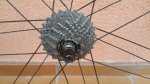 IMG-20171018-WA0025.jpg