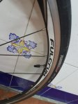 20171019_134546.jpg