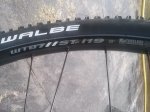 RUEDA 3.jpg