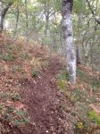 IMG-20171021-WA0011.jpg
