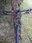 IMG_20171022_135545.jpg