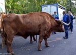 DSC_1738.jpg