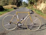 vivabikevintage.jpg