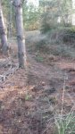 IMG-20171026-WA0020.jpg