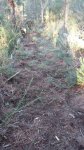 IMG-20171026-WA0021.jpg