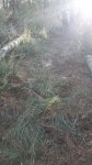 IMG-20171026-WA0022.jpg
