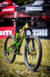 Hill max_Cairns17_X2_3928_520352.jpg