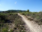 DSC01705.JPG