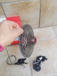 IMG_20171015_183030.jpg