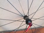 IMG_20170914_170713.jpg