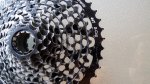 IMG_20171031_174759.jpg