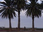 GRAN CANARIA (52).JPG