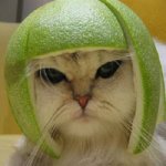 i_am_not_amused.jpg