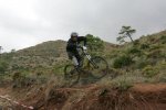 DH Estepona 1134.jpg
