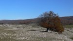 P1080424_redimensionar.JPG