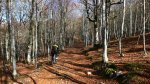 P1080426_redimensionar.JPG