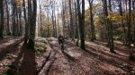 P1080437_redimensionar.JPG