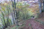 P1080447_redimensionar.JPG