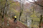 P1080461_redimensionar.JPG