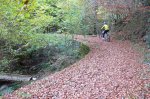 P1080483_redimensionar.JPG