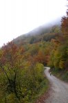 P1080498_redimensionar.JPG