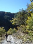 DSC07310.JPG