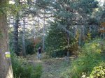 DSC07325.JPG