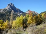 DSC07407.JPG
