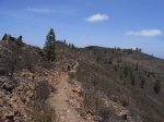 GRAN CANARIA (63).JPG