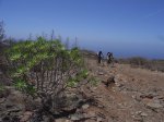 GRAN CANARIA (65).JPG