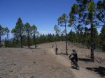 GRAN CANARIA (82).JPG