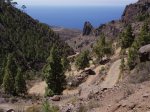 GRAN CANARIA (88).JPG