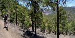 GRAN CANARIA (91).JPG
