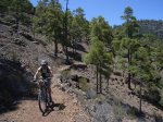 GRAN CANARIA (92).JPG