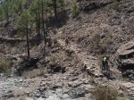 GRAN CANARIA (94).JPG