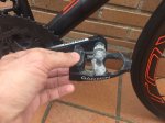 IMG-20171104-WA0010.jpg