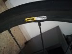thumbnail_IMG_7261.jpg