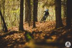 IMG-20171105-WA0004.jpg