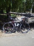 fuenteparque.jpg
