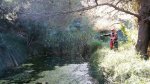 IMG-20171106-WA0011.jpg