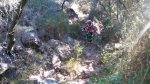 IMG-20171106-WA0020.jpg
