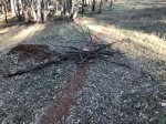 IMG-20171109-WA0006.jpg