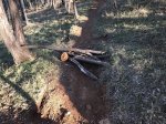 IMG-20171109-WA0008.jpg