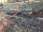 IMG-20171109-WA0009.jpg