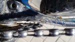 IMG_20170501_181725.jpg