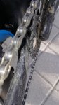 IMG_20170501_182020.jpg