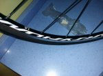 IMG-20171111-WA0042.jpg